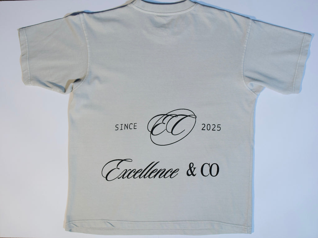 "We Are His Sheep" tee