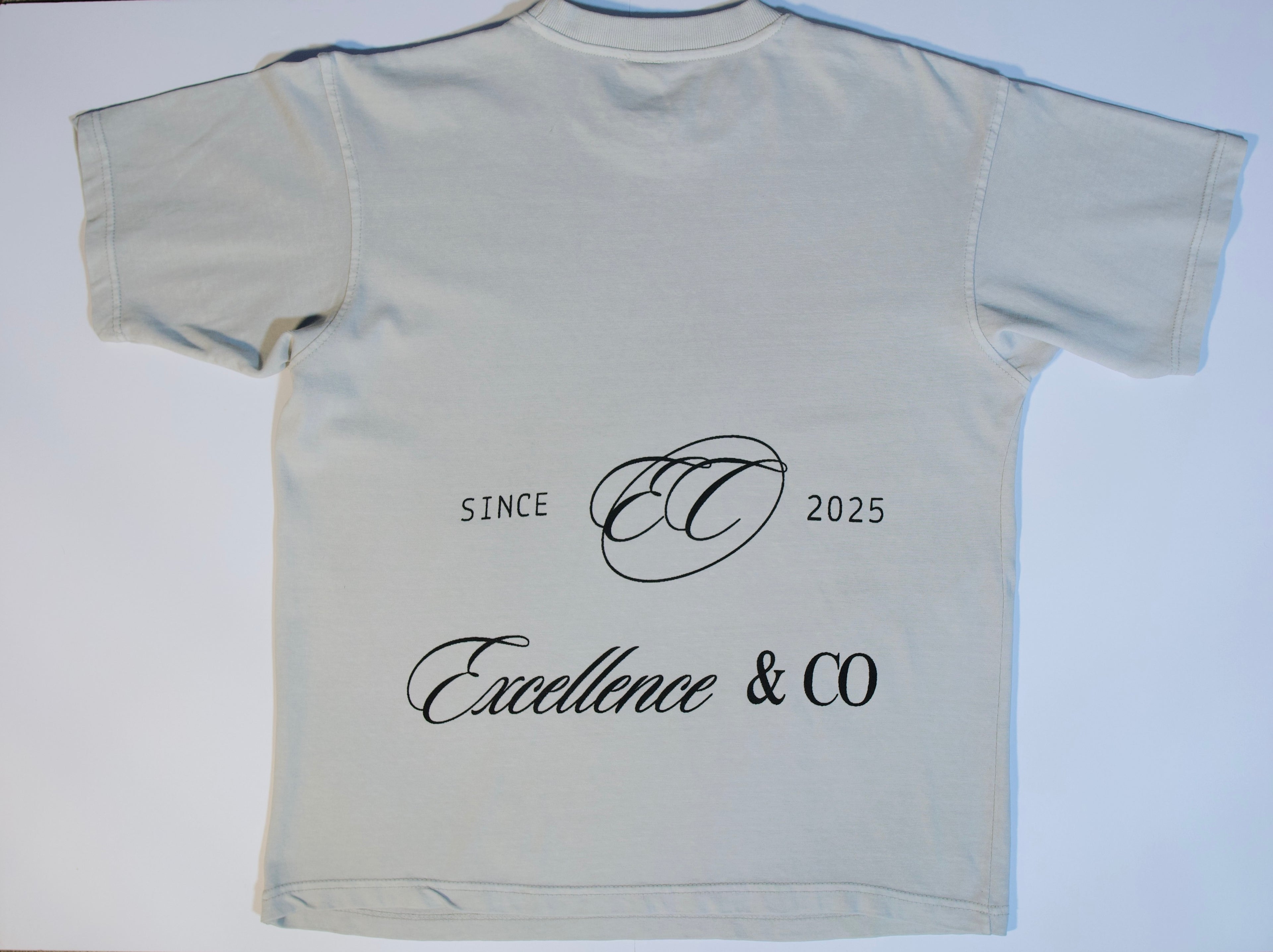 "We Are His Sheep" tee